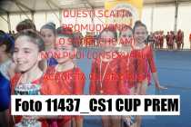 11437_CS1-CUP-PREM