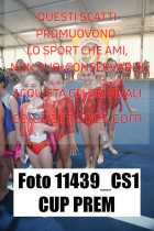 11439_CS1-CUP-PREM