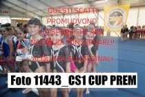 11443_CS1-CUP-PREM