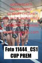11444_CS1-CUP-PREM