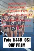 11445_CS1-CUP-PREM