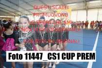 11447_CS1-CUP-PREM