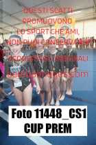 11448_CS1-CUP-PREM