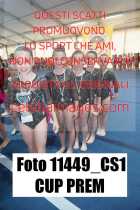 11449_CS1-CUP-PREM