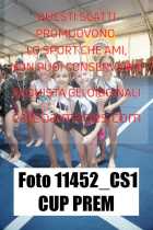 11452_CS1-CUP-PREM