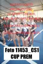 11453_CS1-CUP-PREM