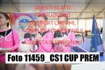 11459_CS1-CUP-PREM