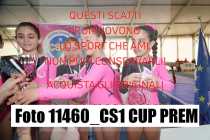 11460_CS1-CUP-PREM