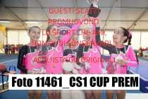 11461_CS1-CUP-PREM