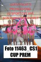 11463_CS1-CUP-PREM