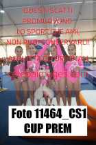 11464_CS1-CUP-PREM