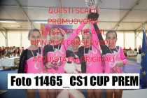 11465_CS1-CUP-PREM