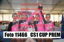 11466_CS1-CUP-PREM