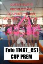 11467_CS1-CUP-PREM
