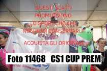 11468_CS1-CUP-PREM