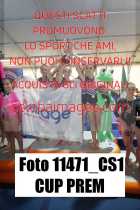 11471_CS1-CUP-PREM