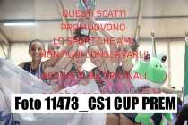 11473_CS1-CUP-PREM