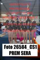 26584_CS1-PREM-SERA