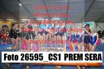 26595_CS1-PREM-SERA