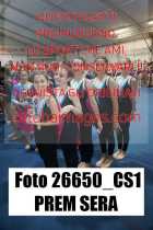 26650_CS1-PREM-SERA