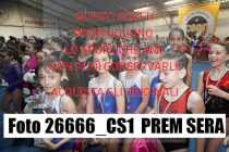 26666_CS1-PREM-SERA