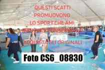 CS6_08830