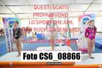 CS6_08866
