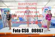 CS6_08867