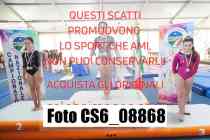 CS6_08868