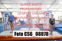CS6_08878