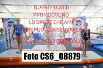 CS6_08879