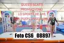 CS6_08897