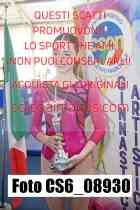 CS6_08930
