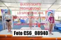 CS6_08940