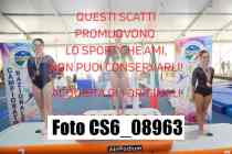 CS6_08963