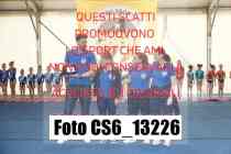 CS6_13226