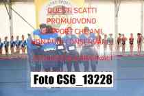 CS6_13228