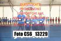 CS6_13229