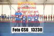 CS6_13230