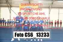 CS6_13233