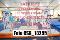 CS6_13255