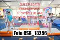 CS6_13256