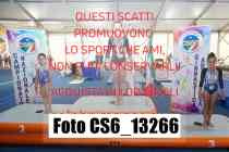 CS6_13266