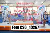 CS6_13267