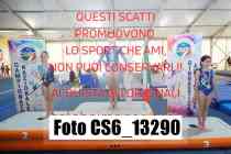 CS6_13290