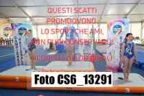 CS6_13291