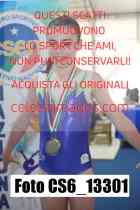 CS6_13301