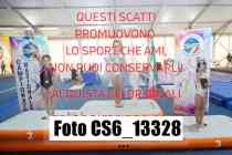 CS6_13328