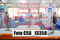 CS6_13358