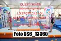 CS6_13360